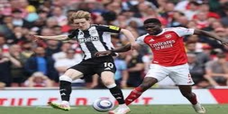 重点引援目标与战术适配分析-雷火电竞