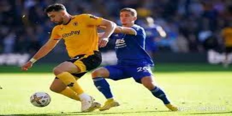 蛰伏二十年的非典型教练 - 雷火电竞