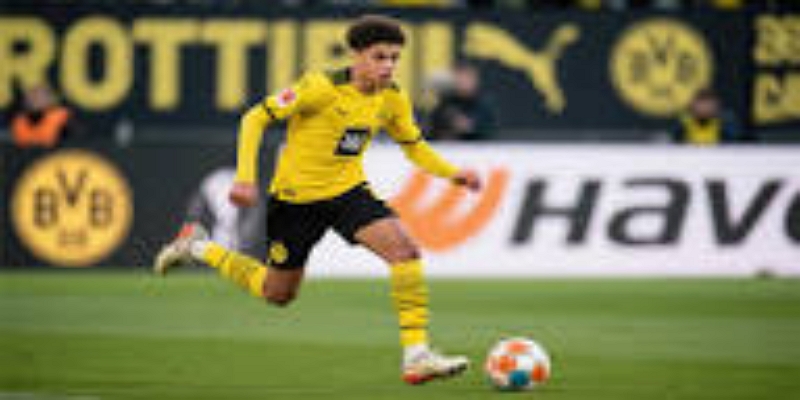 阵容变动与战术展望-雷火电竞