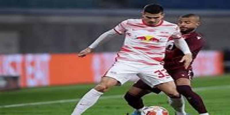 雷火电竞解读努萨爆发逻辑—新星快速成型的体系支撑-雷火电竞